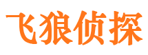 郊区侦探公司